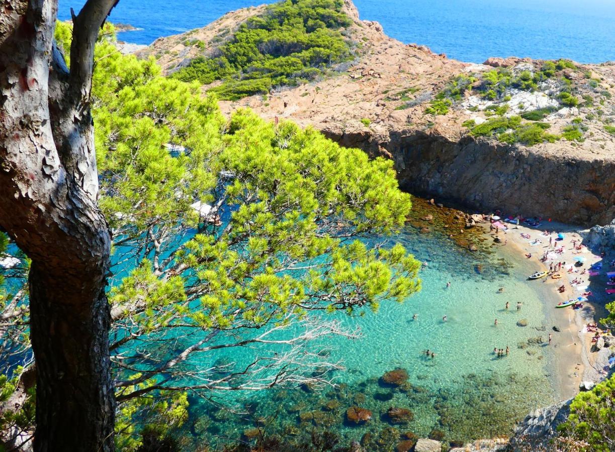 Cap Sa Sal - Sa Roca 1 - Studio Acceso Directo Al Mar Begur Exteriör bild